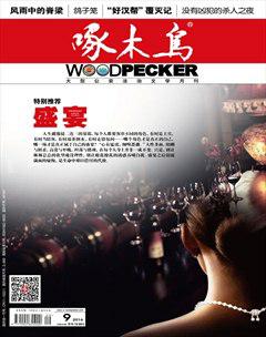 啄木鸟2016年9期