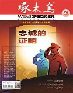 啄木鸟2021年8期