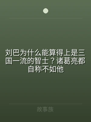 刘巴为什么能算得上是三国一流的智士？诸葛