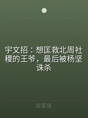 宇文招：想匡救北周社稷的王爷，最后被杨坚