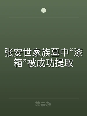 张安世家族墓中“漆箱”被成功提取