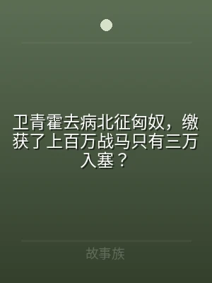 卫青霍去病北征匈奴，缴获了上百万战马只有