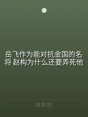岳飞作为能对抗金国的名将 赵构为什么还要