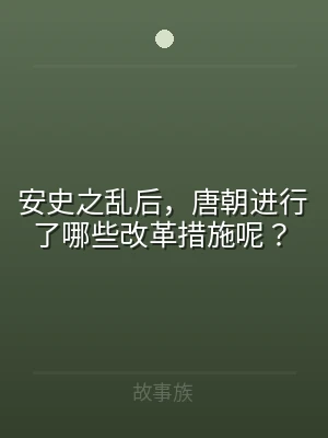 安史之乱后，唐朝进行了哪些改革措施呢？