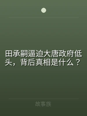 田承嗣逼迫大唐政府低头，背后真相是什么？