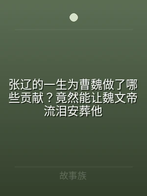 张辽的一生为曹魏做了哪些贡献？竟然能让魏