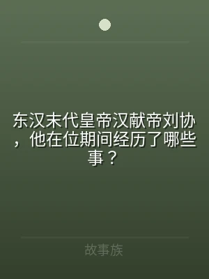 东汉末代皇帝汉献帝刘协，他在位期间经历了