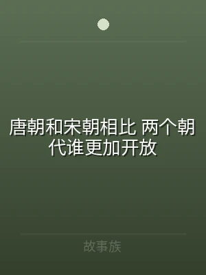 唐朝和宋朝相比 两个朝代谁更加开放