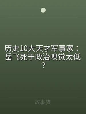 历史10大天才军事家：岳飞死于政治嗅觉太