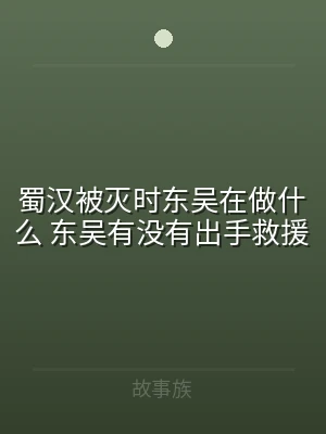 蜀汉被灭时东吴在做什么 东吴有没有出手救