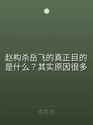 赵构杀岳飞的真正目的是什么？其实原因很多