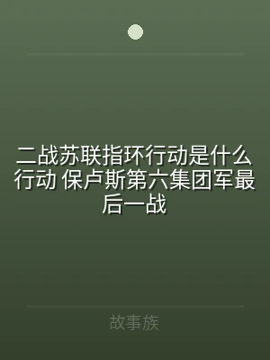 二战苏联指环行动是什么行动 保卢斯第六集