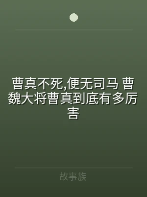 曹真不死,便无司马 曹魏大将曹真到底有多