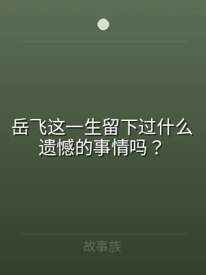 岳飞这一生留下过什么遗憾的事情吗？