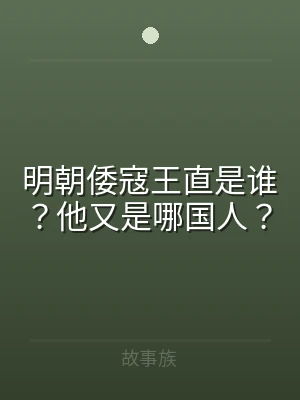 明朝倭寇王直是谁？他又是哪国人？