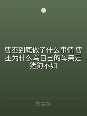 曹丕到底做了什么事情 曹丕为什么骂自己的