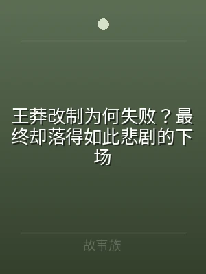 王莽改制为何失败？最终却落得如此悲剧的下