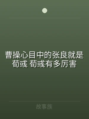曹操心目中的张良就是荀彧 荀彧有多厉害