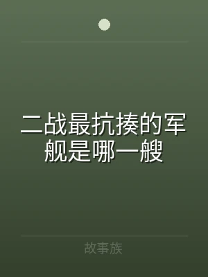 二战最抗揍的军舰是哪一艘