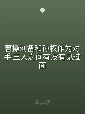 曹操刘备和孙权作为对手 三人之间有没有见