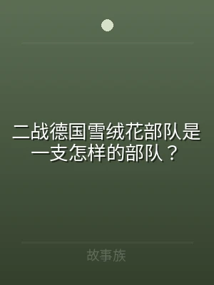 二战德国雪绒花部队是一支怎样的部队？