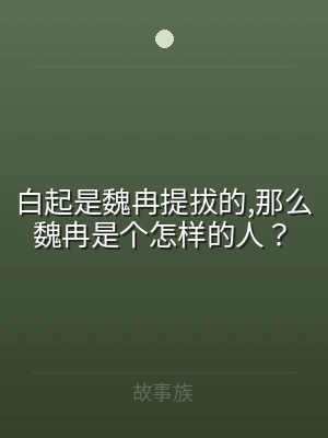 白起是魏冉提拔的,那么魏冉是个怎样的人？