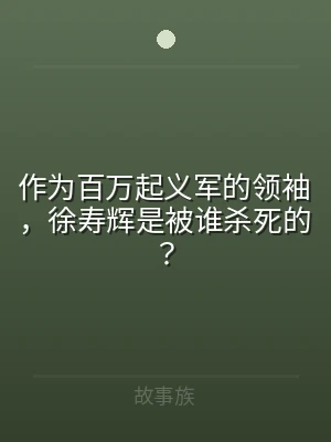 作为百万起义军的领袖，徐寿辉是被谁杀死的