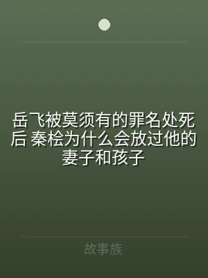 岳飞被莫须有的罪名处死后 秦桧为什么会放