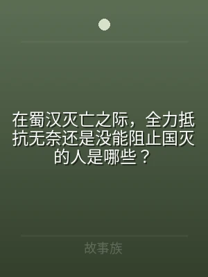 在蜀汉灭亡之际，全力抵抗无奈还是没能阻止