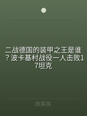 二战德国的装甲之王是谁？波卡基村战役一人