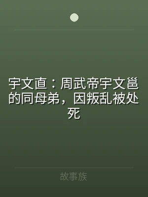 宇文直：周武帝宇文邕的同母弟，因叛乱被处