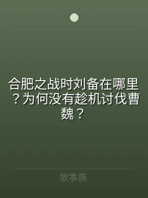 合肥之战时刘备在哪里？为何没有趁机讨伐曹