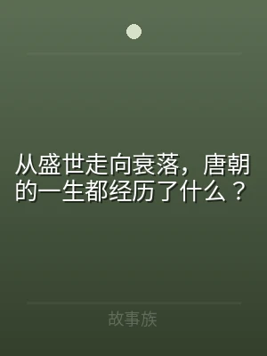 从盛世走向衰落，唐朝的一生都经历了什么？