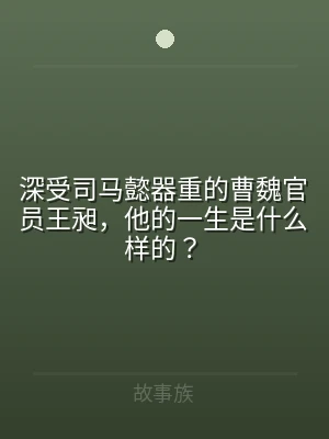 深受司马懿器重的曹魏官员王昶，他的一生是