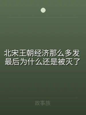 北宋王朝经济那么多发 最后为什么还是被灭