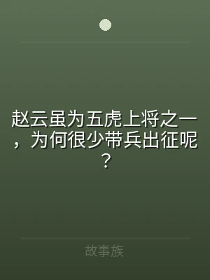 赵云虽为五虎上将之一，为何很少带兵出征呢