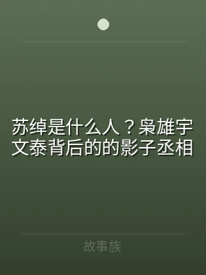 苏绰是什么人？枭雄宇文泰背后的的影子丞相