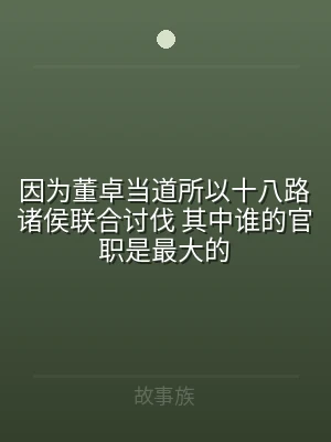 因为董卓当道所以十八路诸侯联合讨伐 其中