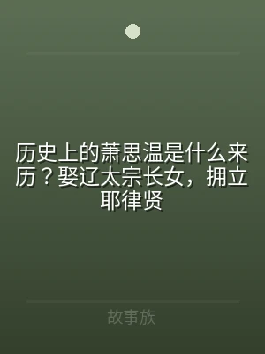 历史上的萧思温是什么来历？娶辽太宗长女，