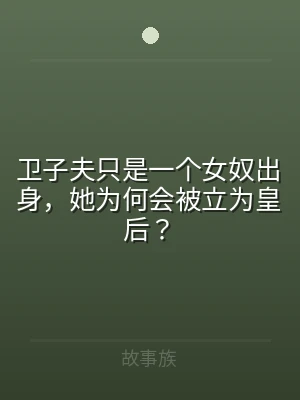 卫子夫只是一个女奴出身，她为何会被立为皇