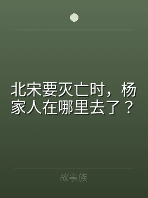 北宋要灭亡时，杨家人在哪里去了？