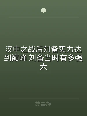 汉中之战后刘备实力达到巅峰 刘备当时有多