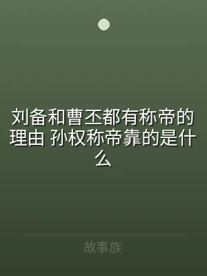 刘备和曹丕都有称帝的理由 孙权称帝靠的是