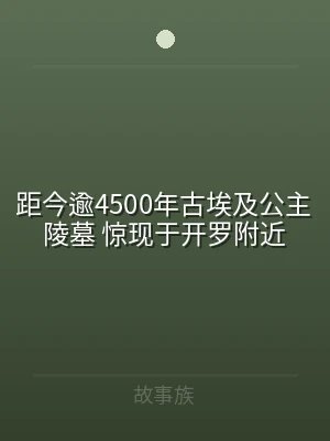 距今逾4500年古埃及公主陵墓 惊现于开