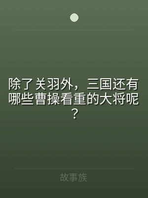 除了关羽外，三国还有哪些曹操看重的大将呢