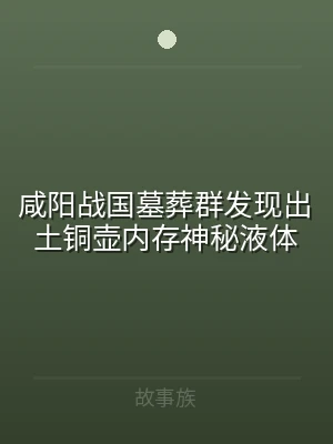 咸阳战国墓葬群发现出土铜壶内存神秘液体