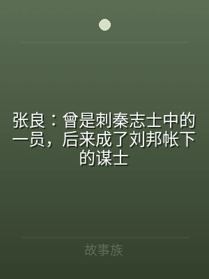张良：曾是刺秦志士中的一员，后来成了刘邦