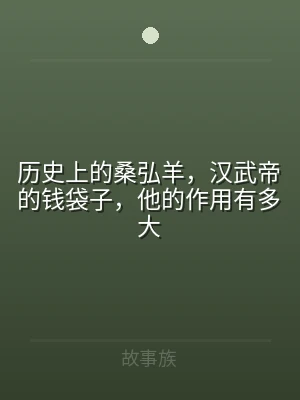 历史上的桑弘羊，汉武帝的钱袋子，他的作用