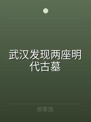 武汉发现两座明代古墓