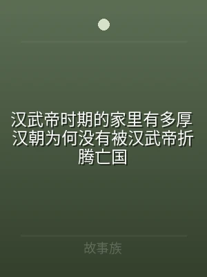 汉武帝时期的家里有多厚 汉朝为何没有被汉